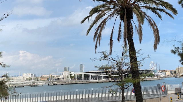 A photograph accompanying this guide to Barcelona