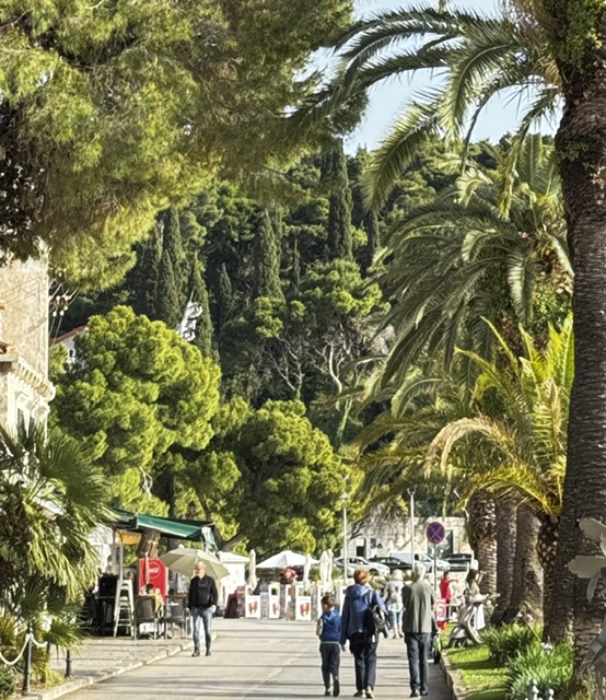 A photograph accompanying this guide to Dubrovnik