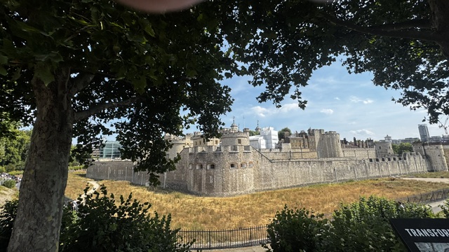 The walls and towers of the Tower of London seen from under a large tree, with dry grass in front.