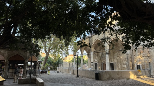 A photograph accompanying this guide to Rhodes