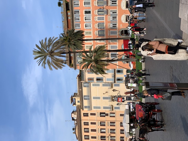 Sunny square in Rome with palm trees, colourful facades and a carriage among the strollers.