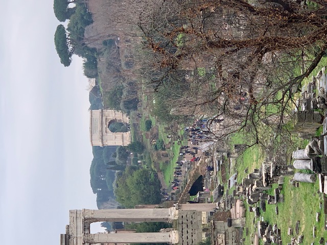 A view over the Forum Romanum, with columns and ruins in the foreground and the Arch of Titus in the distance among the trees.