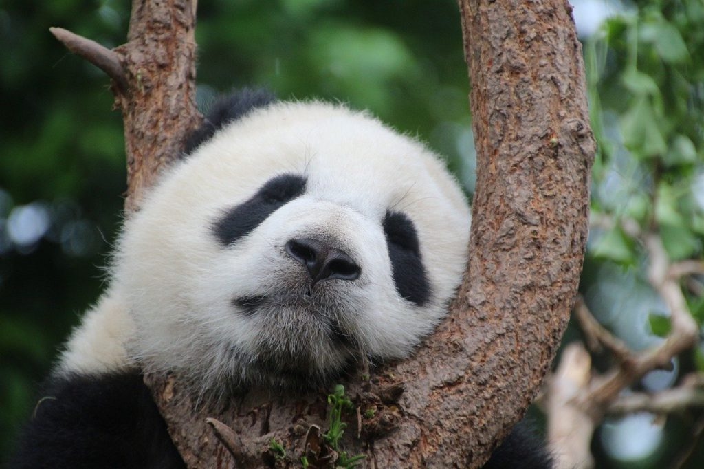 China 2022 Public Holidays and School Vacations